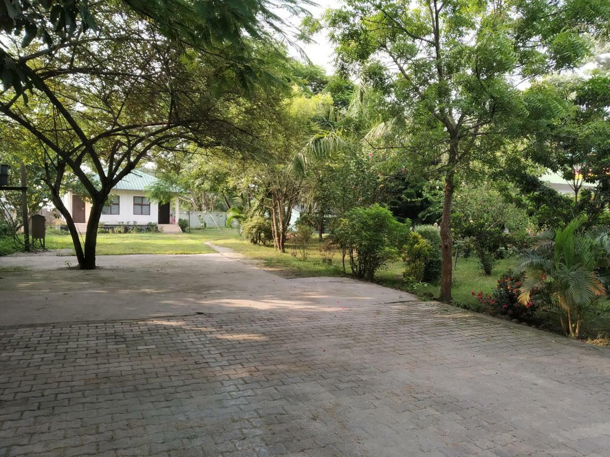 Jakhalabandha Green Ashiyana Palace מראה חיצוני תמונה